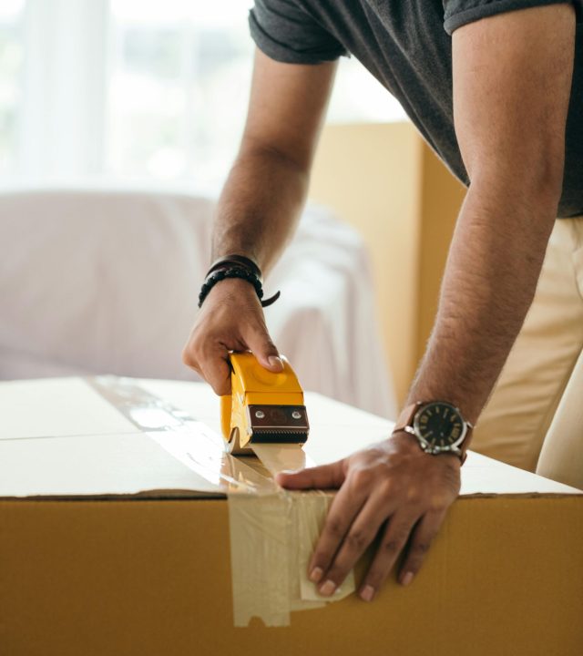 pexels-photo-4247758-4247758